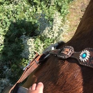 Meet your Posher, Morgan